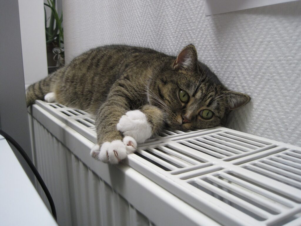 Energetische Berechnung und Nachweis am Gebäudemodell